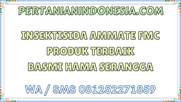 Insektisida Ammate FMC Produk Terbaik Basmi Hama Serangga